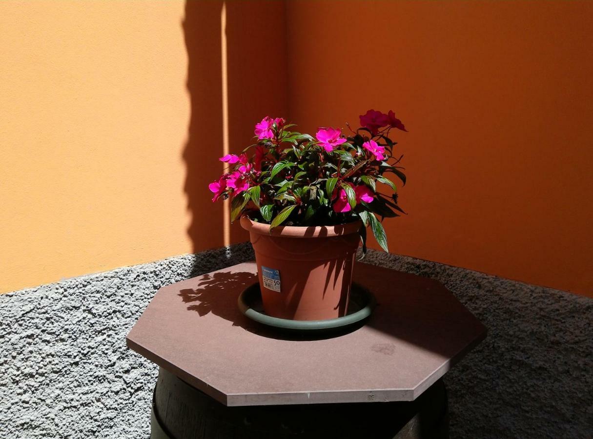 CasavacanzaiColli Villa Pescantina Esterno foto