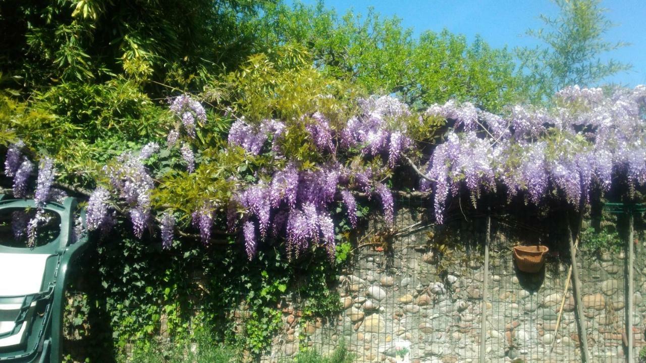 CasavacanzaiColli Villa Pescantina Esterno foto